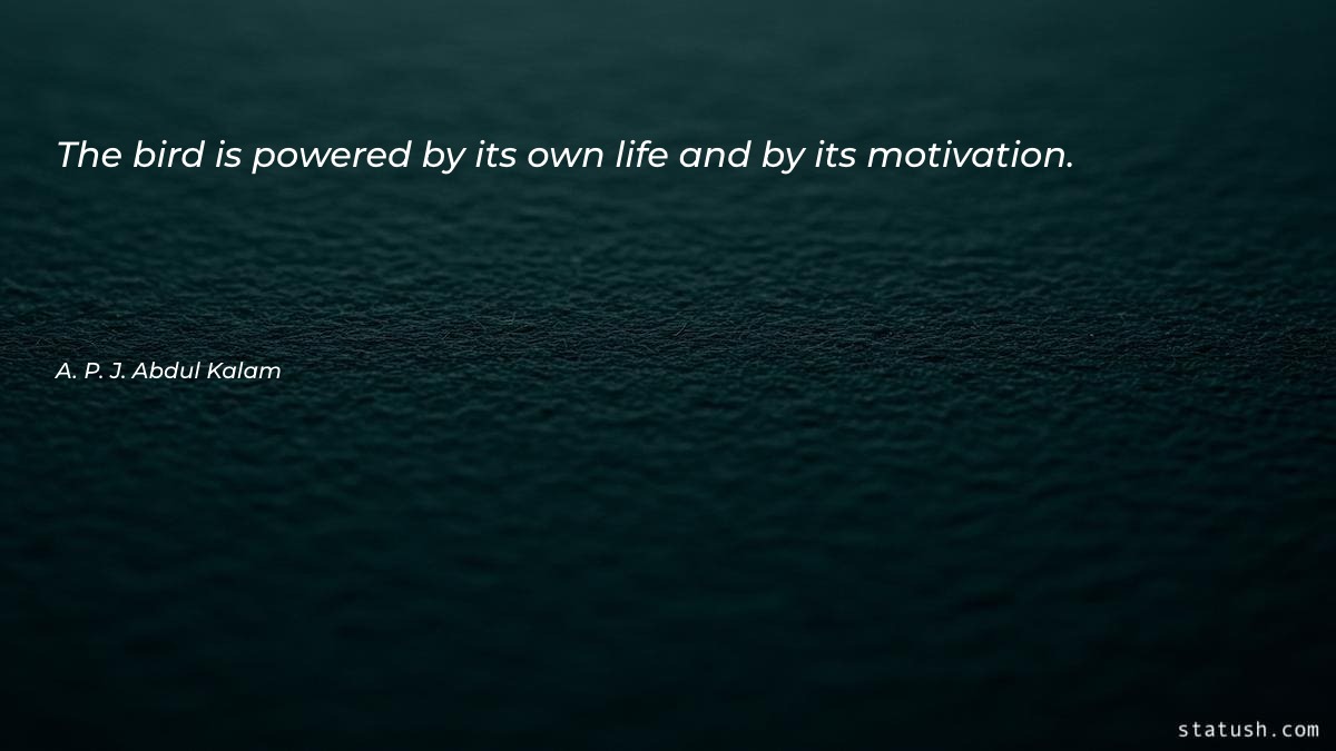 The bird is powered by its own life Motivational Quotes at statush.com