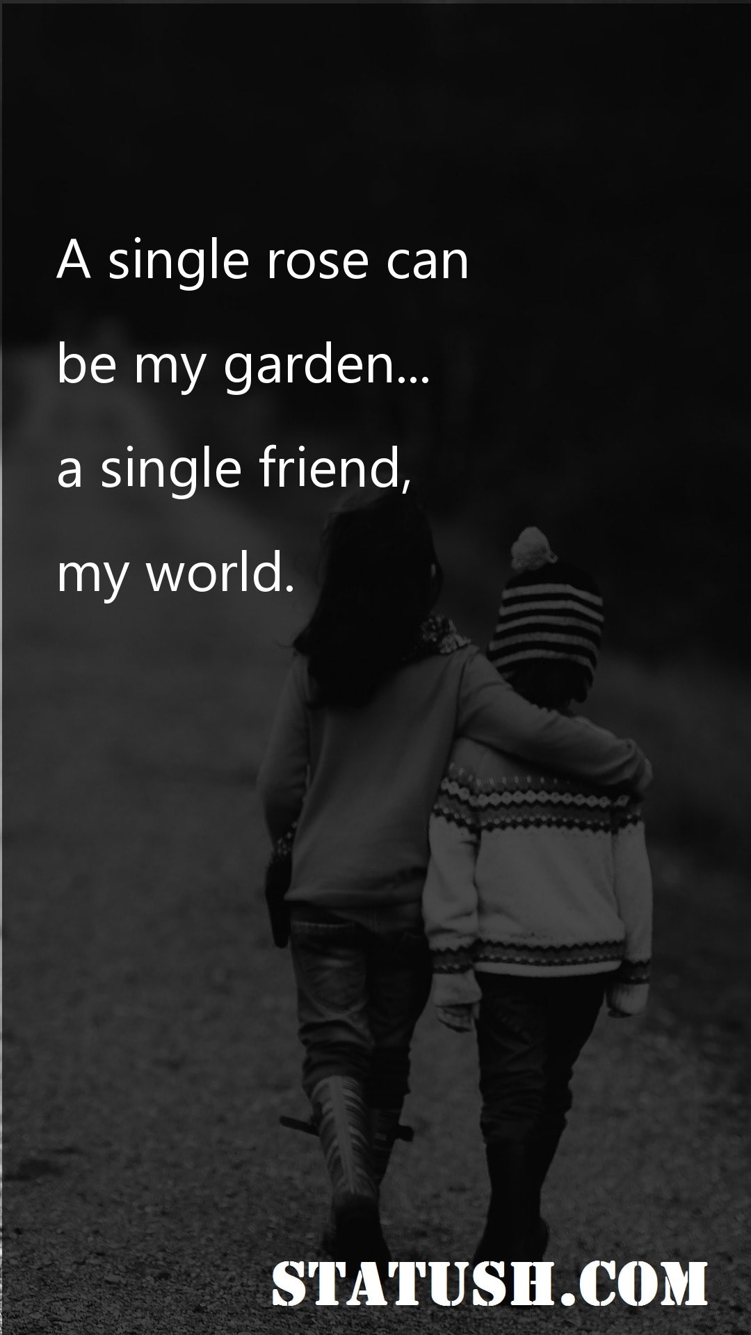 A single rose can - Friendship Quotes at statush.com