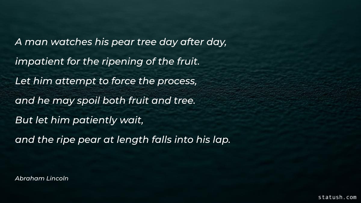 A man watches his pear tree Motivational Quotes at statush.com