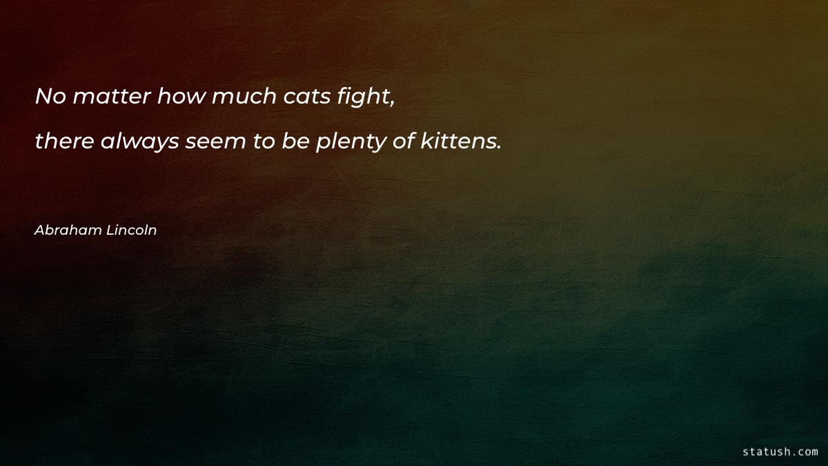 No matter how much cats fight Motivational Quotes at statush.com