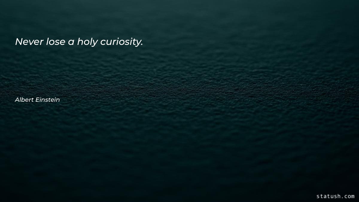Never lose a holy curiosity Motivational Quotes at statush.com
