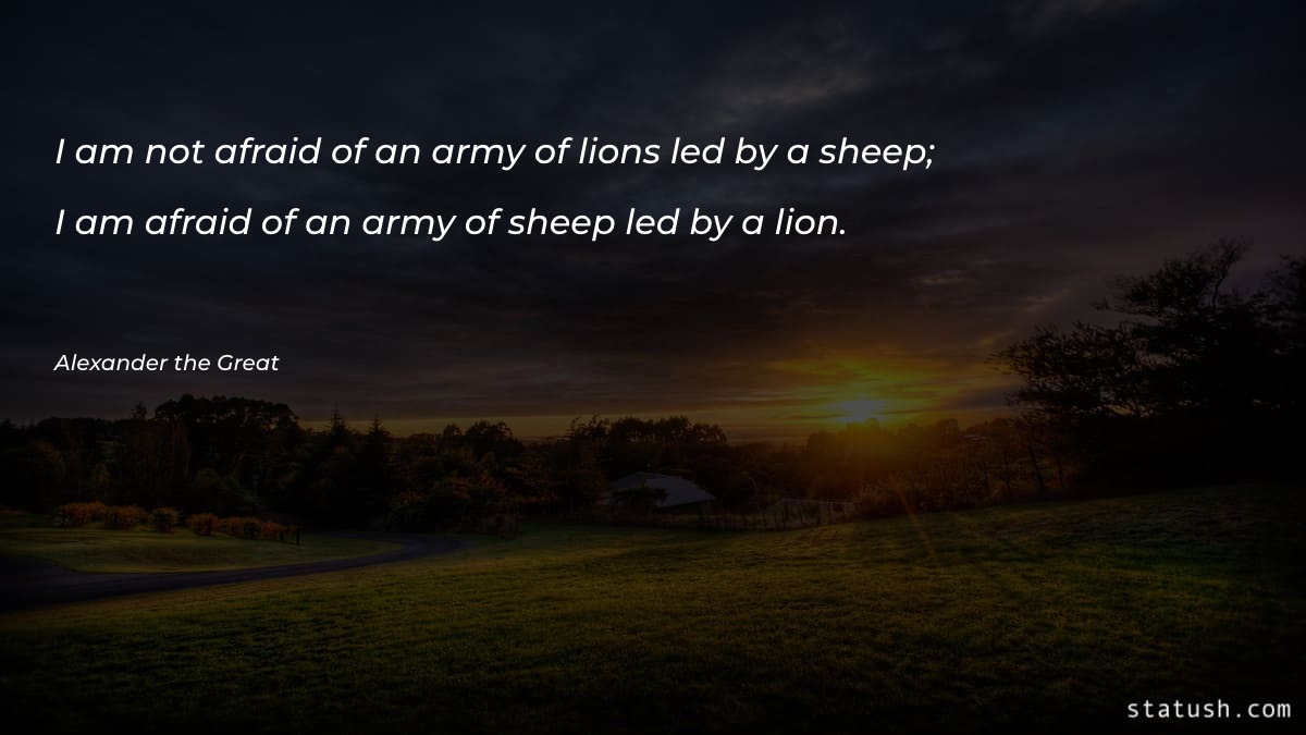I am not afraid of