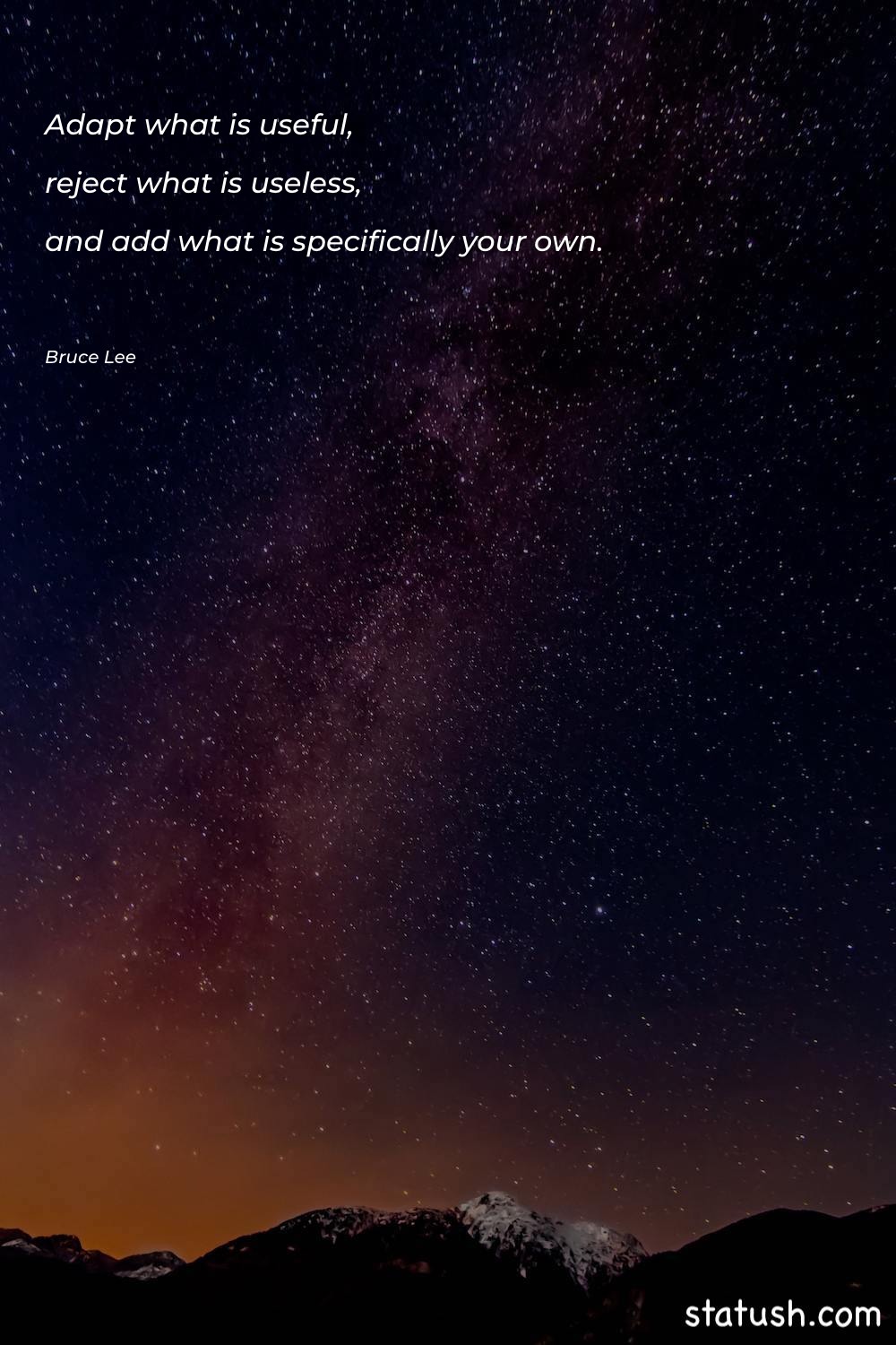 Adapt what is useful, reject - Life Quotes at statush.com