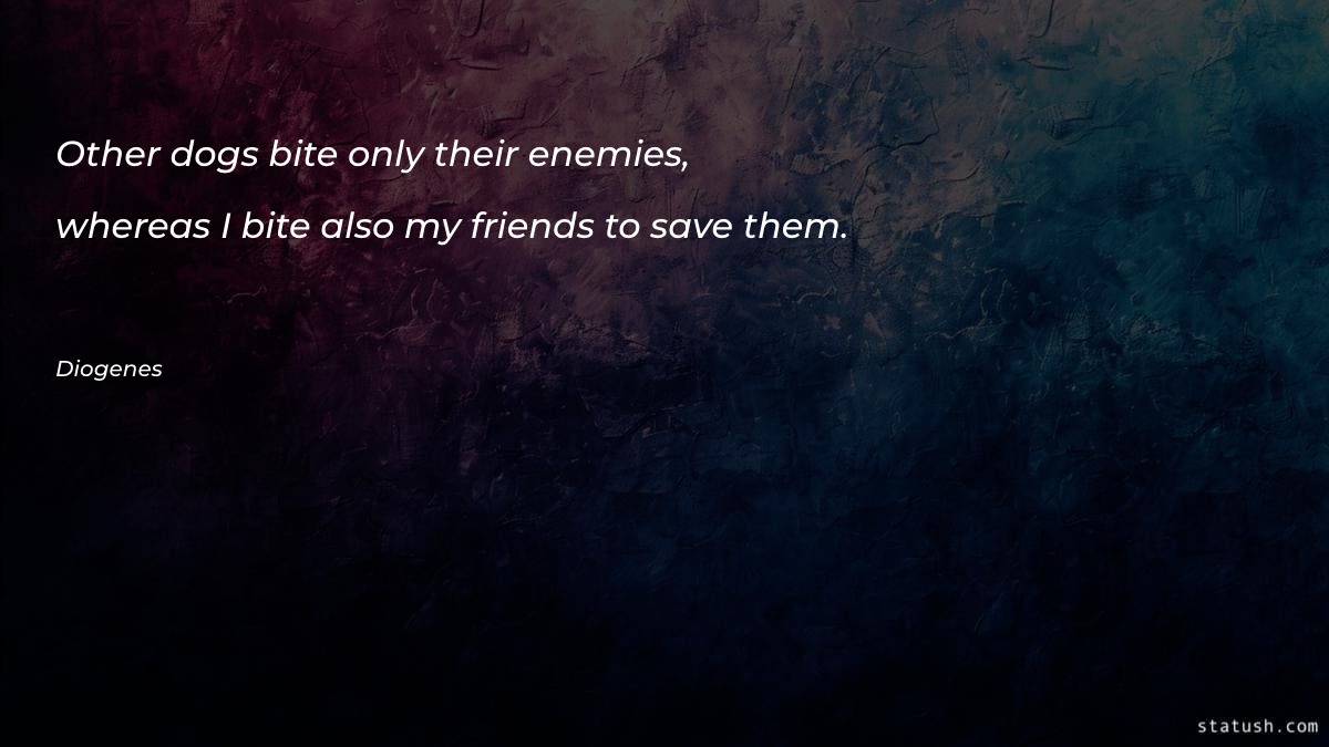 Other dogs bite only their - Motivational Quotes at statush.com