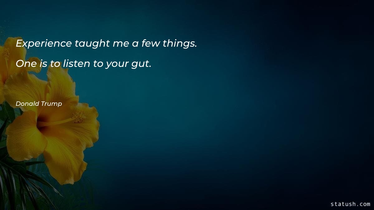 Experience taught me a few Experience Quotes at statush.com