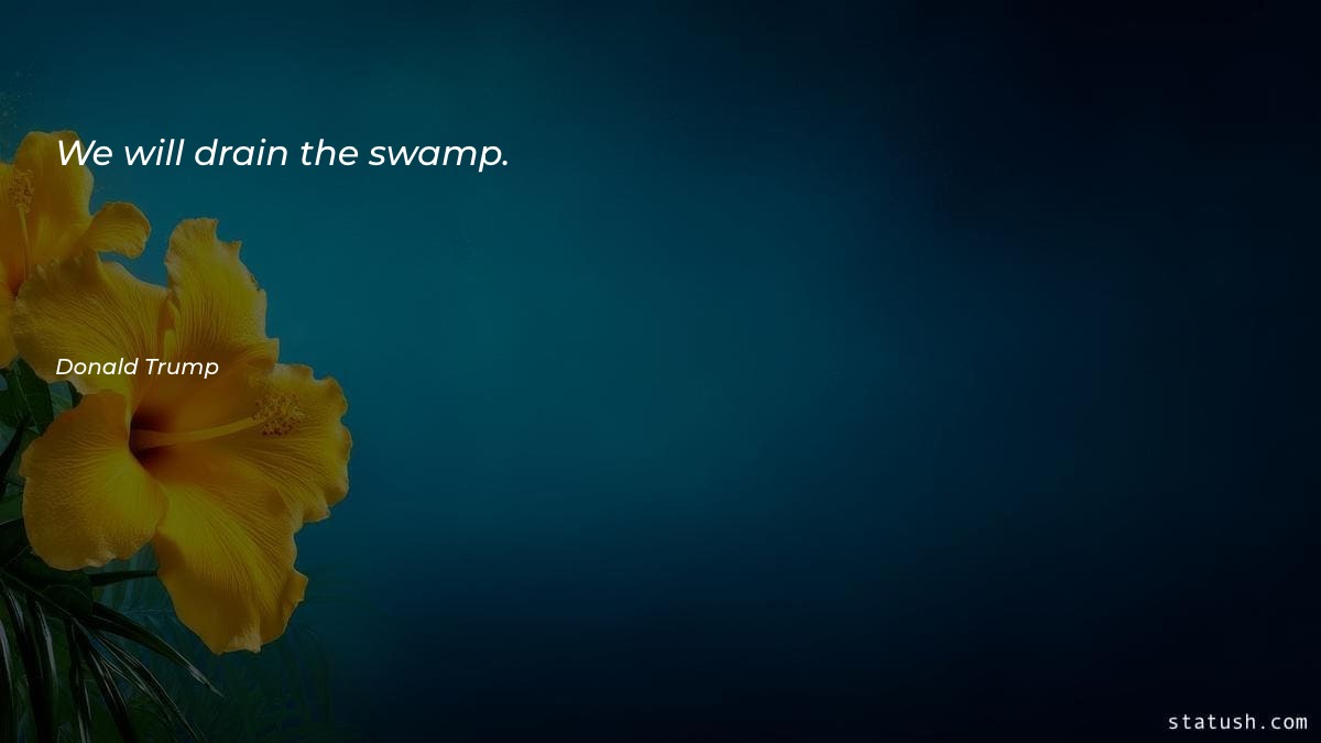 We will drain the swamp Motivational Quotes at statush.com