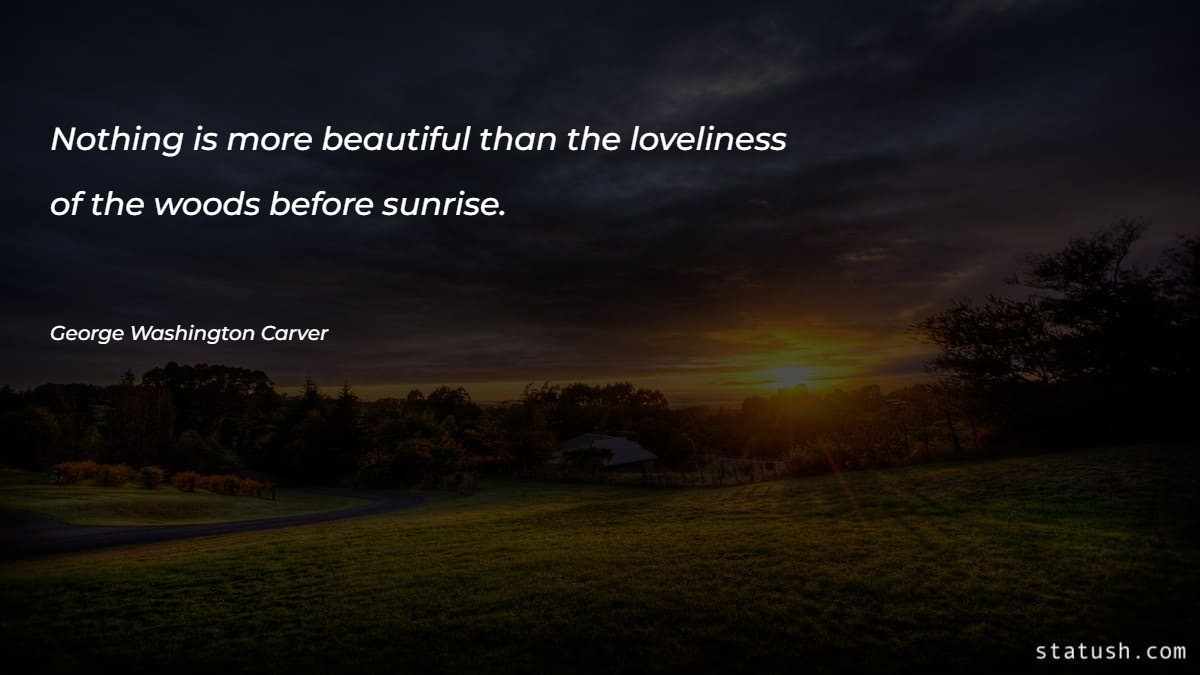 Nothing is more beautiful than the loveliness of the woods before sunrise Motivational Quotes at statush.com