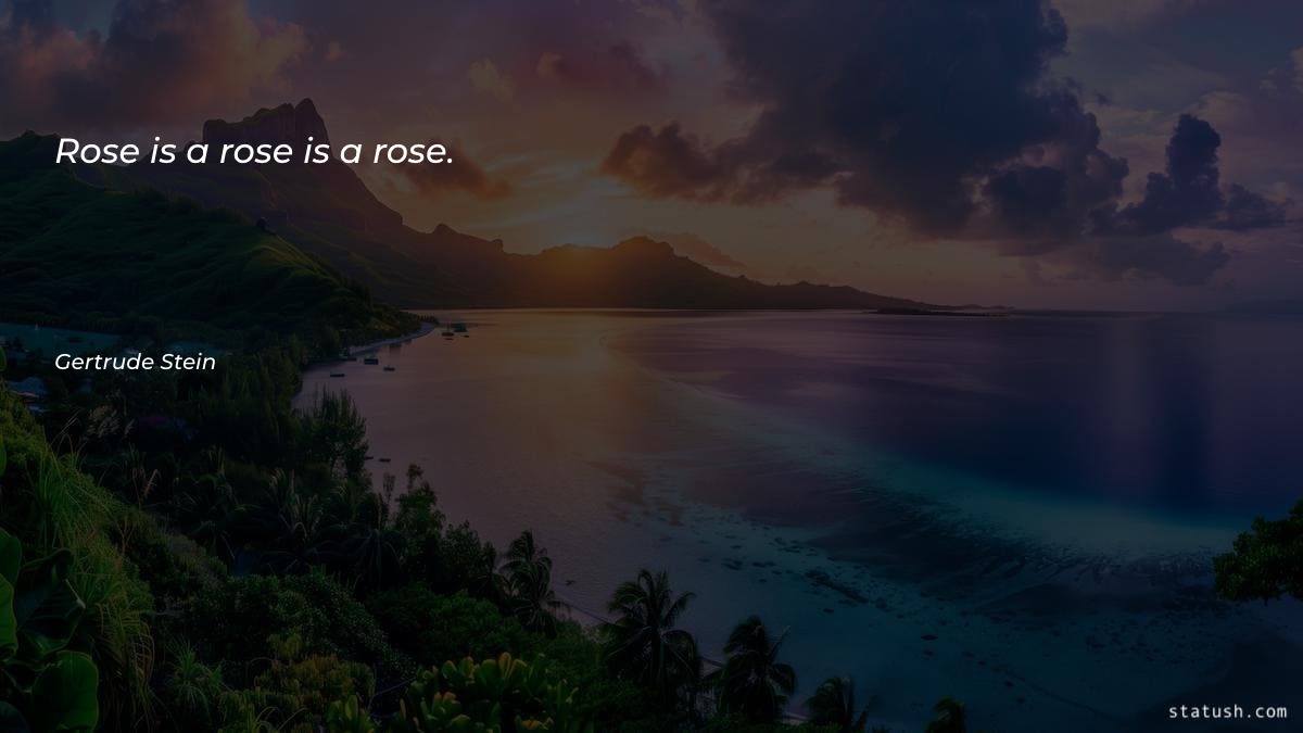Rose is a rose is