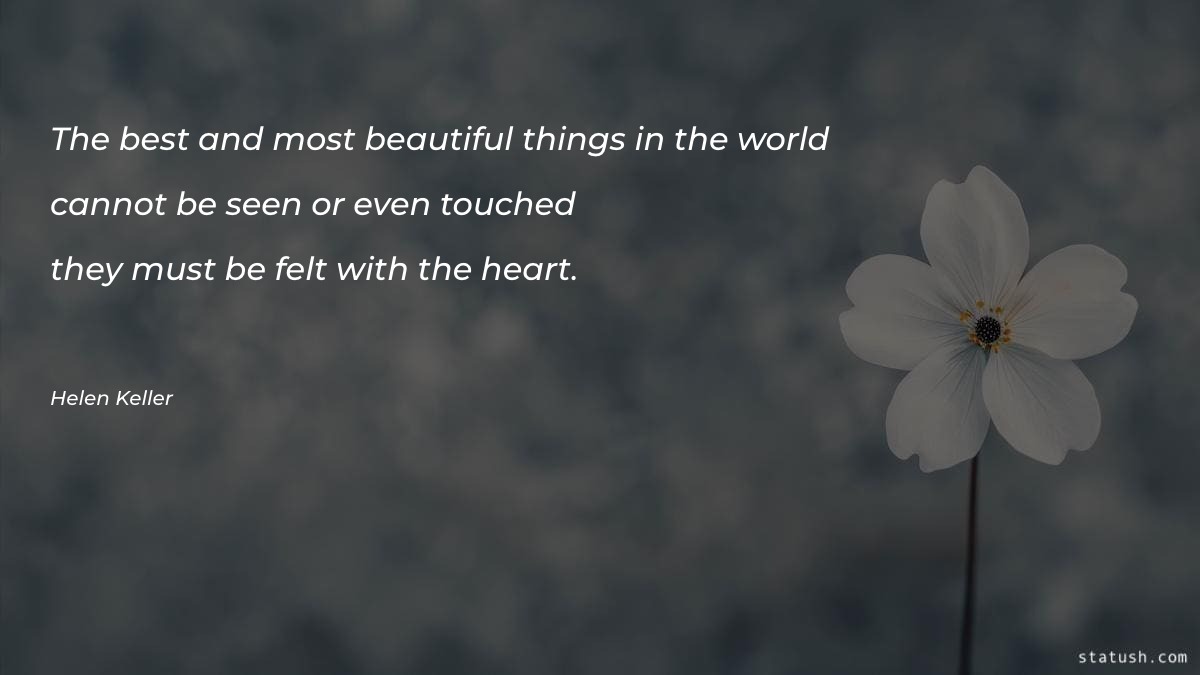 The best and most beautiful Sympathy Quotes at statush.com