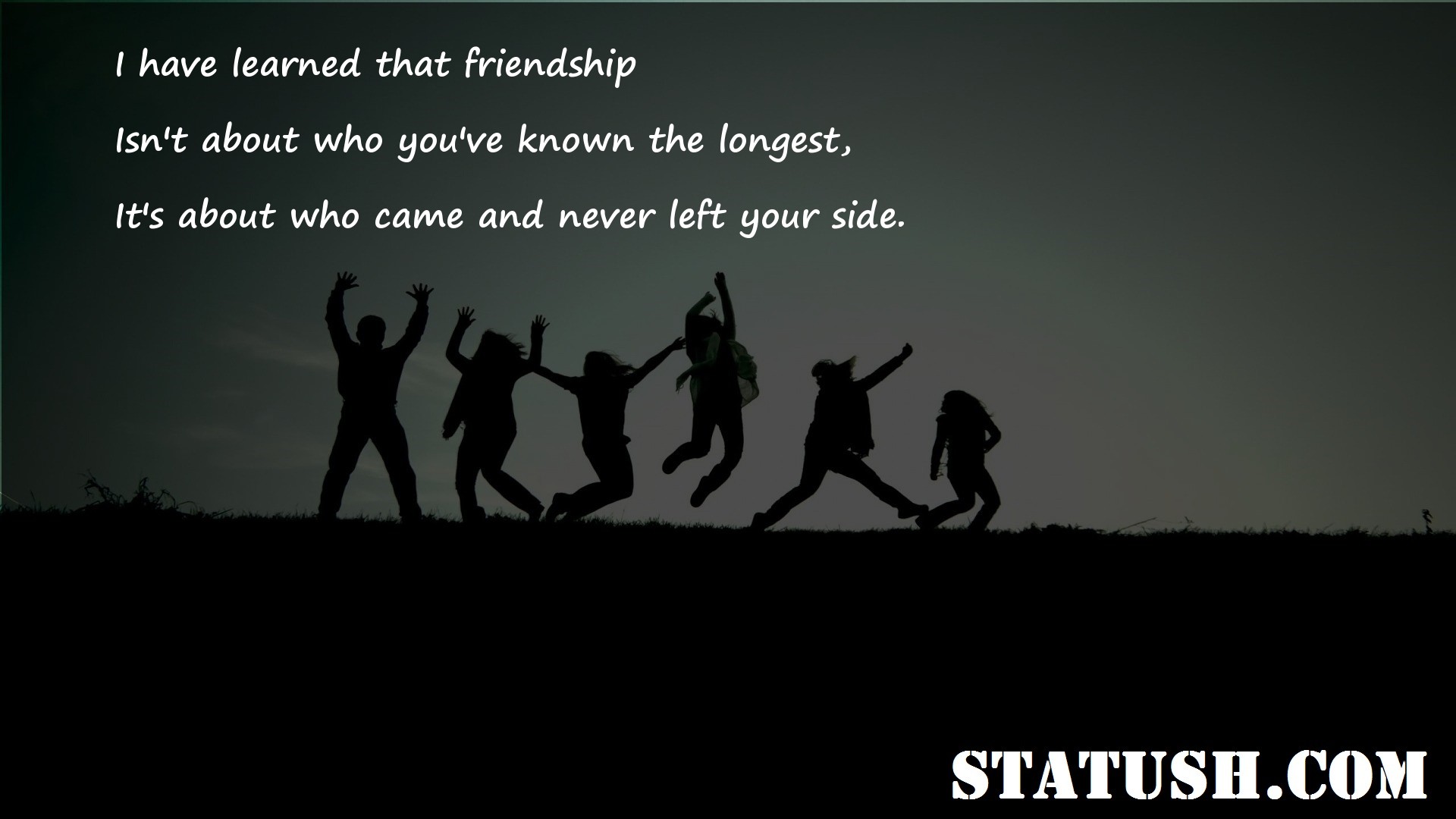 I have learned that friendship - Friendship Quotes at statush.com