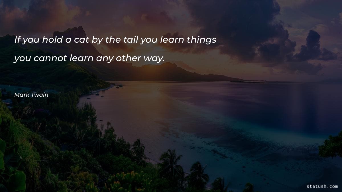 If you hold a cat by the tail Motivational Quotes at statush.com