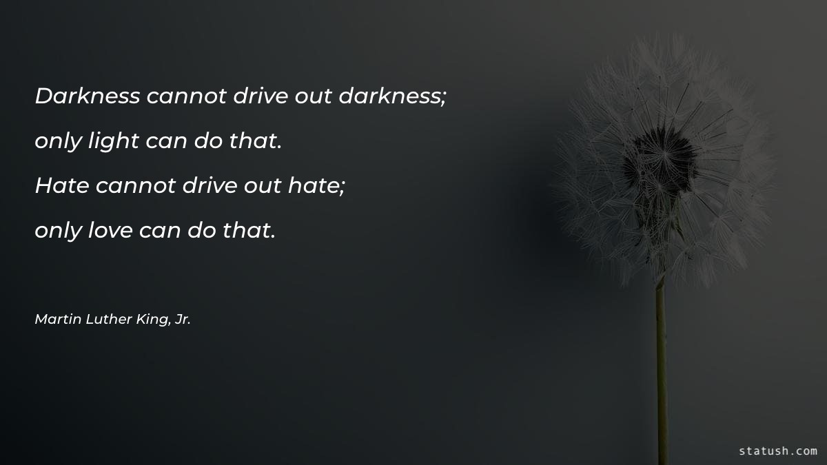 Darkness cannot drive out darkness - Motivational Quotes at statush.com