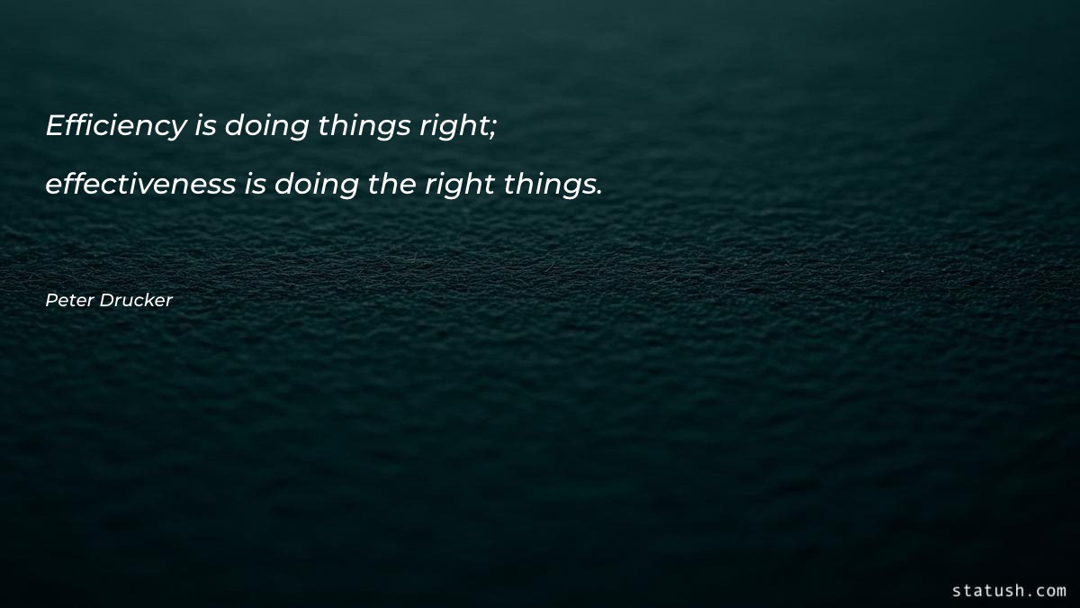 Efficiency is doing things right - Motivational Quotes at statush.com