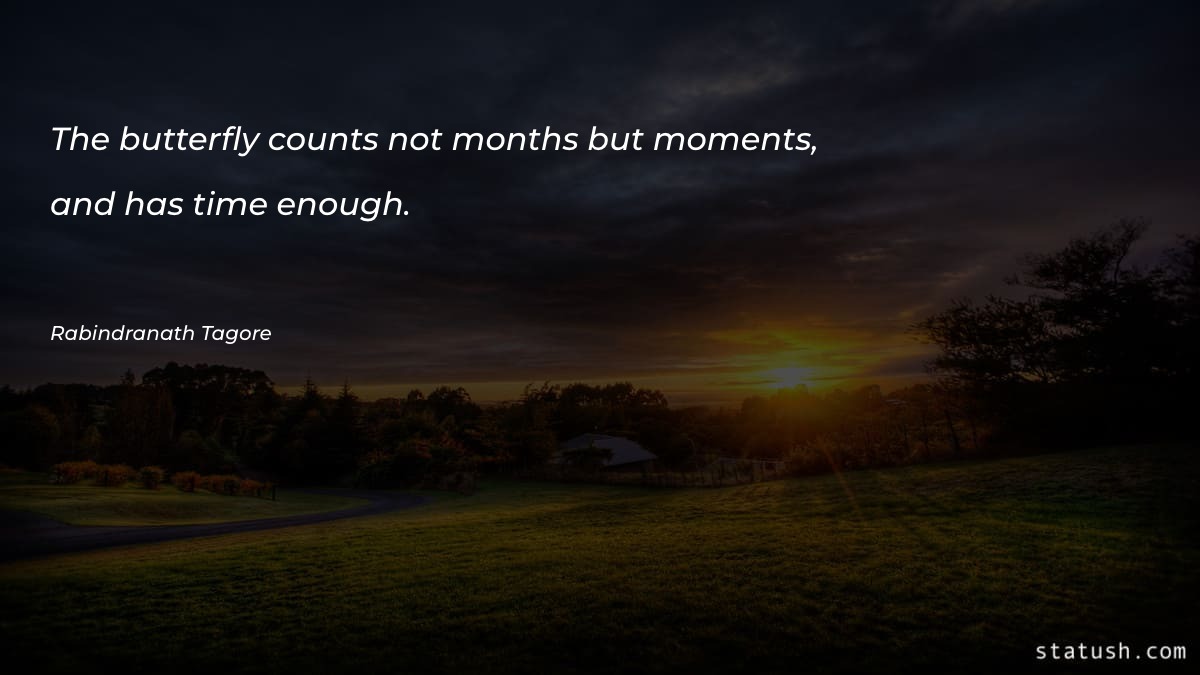 The butterfly counts not months - Motivational Quotes at statush.com