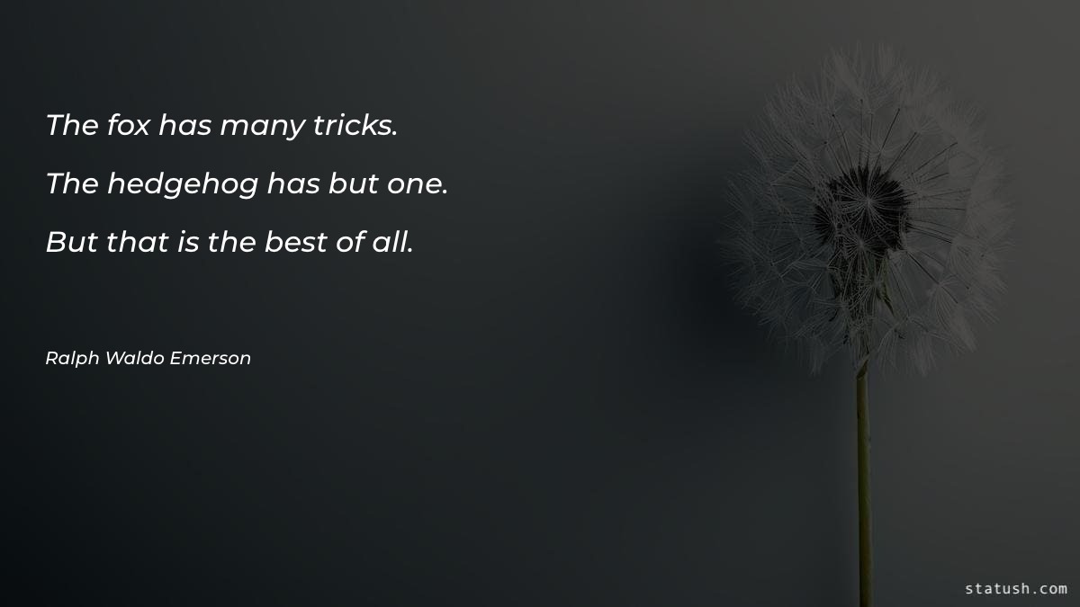 The fox has many tricks Motivational Quotes at statush.com