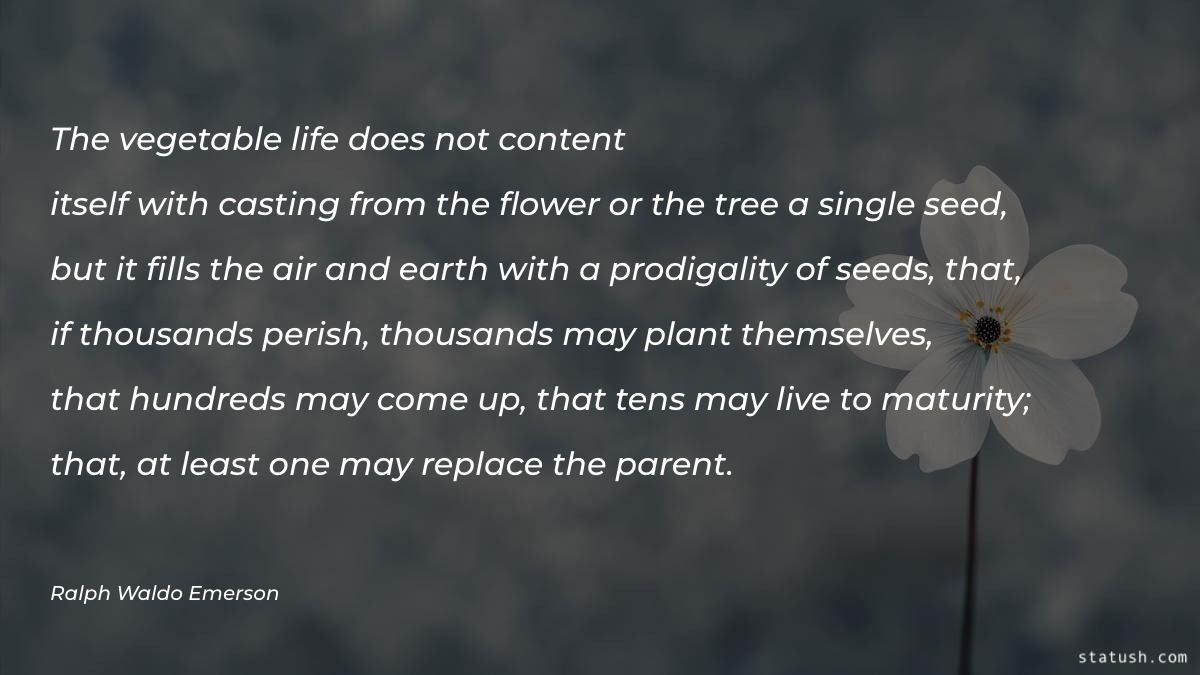 The vegetable life does not content - Parenting Quotes at statush.com
