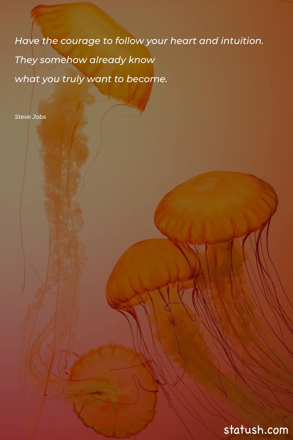 Have the courage to follow Motivational Quotes at statush.com