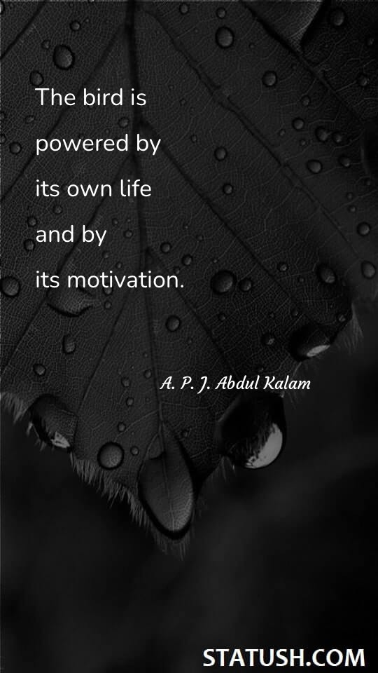 The bird is powered by its own life and by its motivation. Motivational Quotes at statush.com