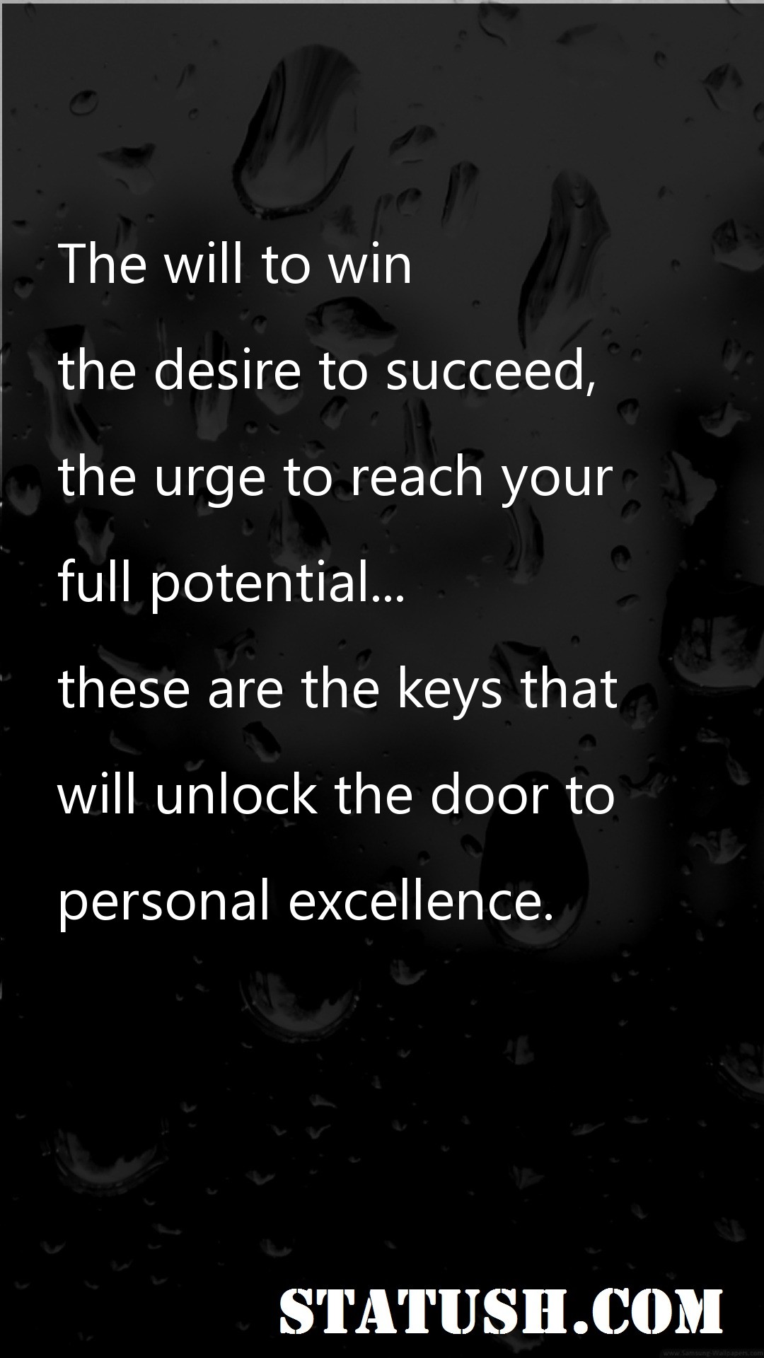 The will to win Motivational Quotes at statush.com