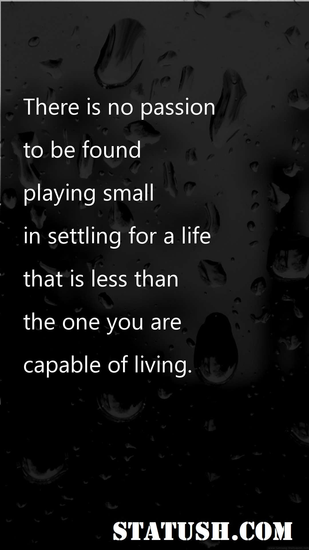 There is no passion Motivational Quotes at statush.com