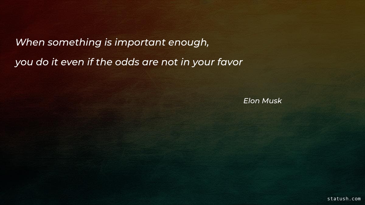 When something is important enough you do it Motivational Quotes at statush.com