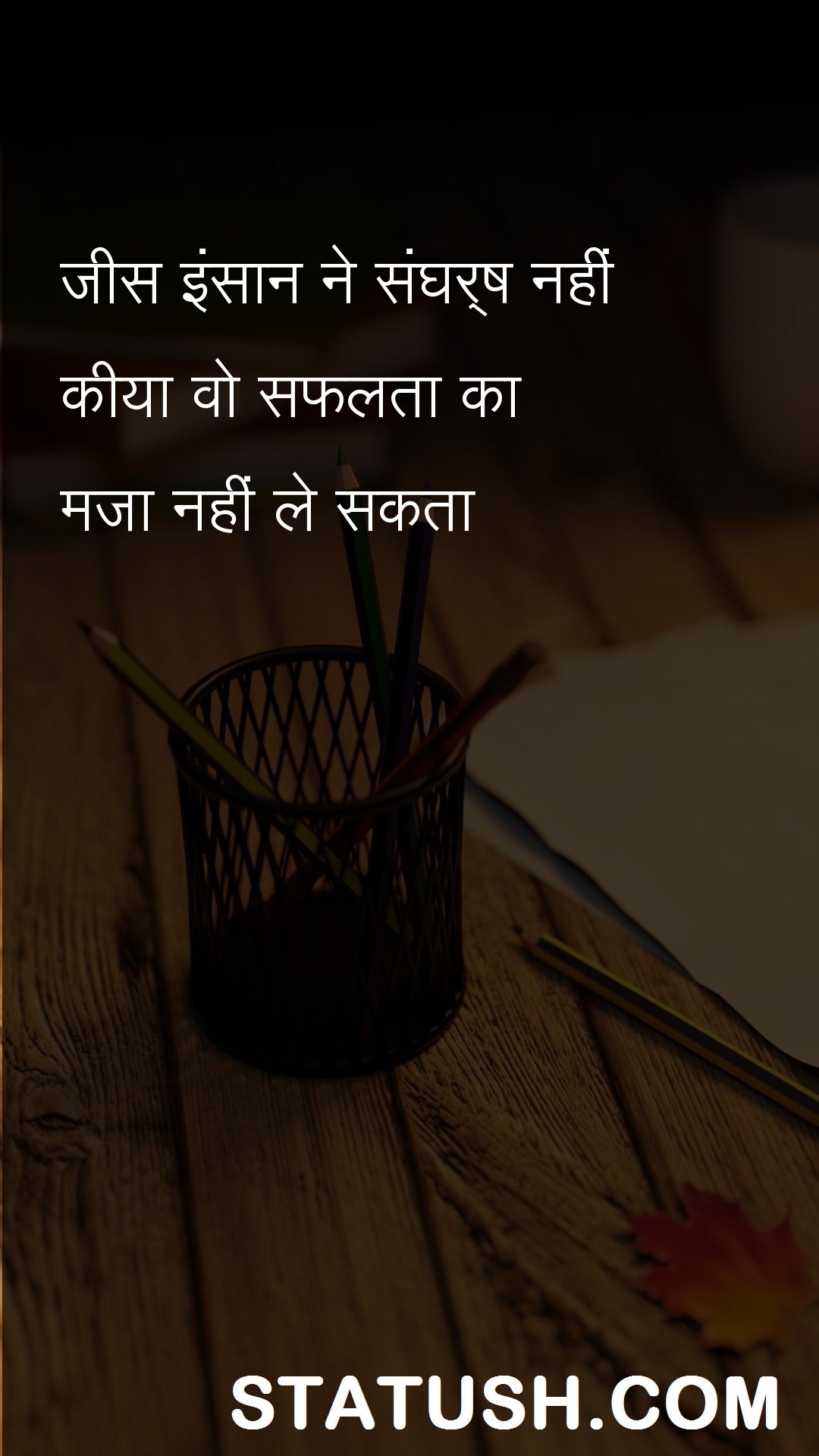 A person who did not struggle Hindi Quotes at statush.com
