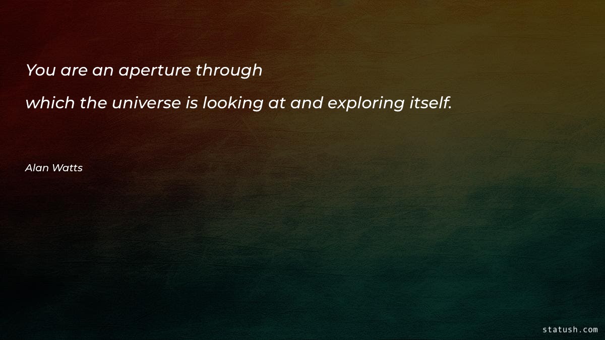 You are an aperture through