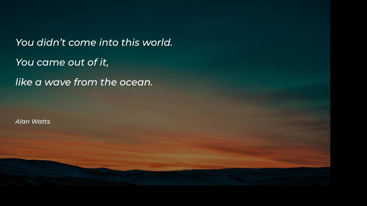 You didn’t come into this