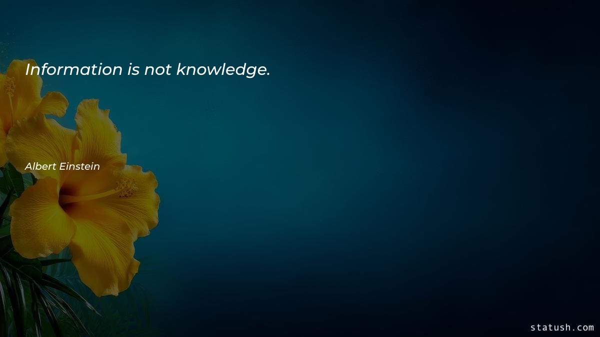 Information is not knowledge