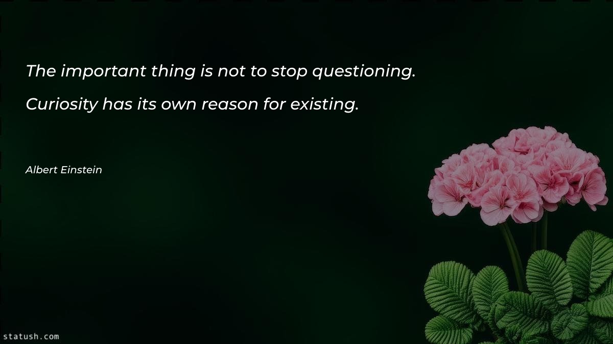 The important thing is not to stop