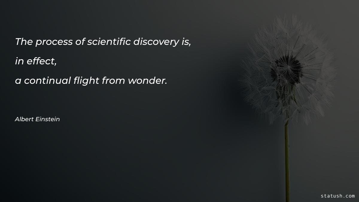 The process of scientific discovery is