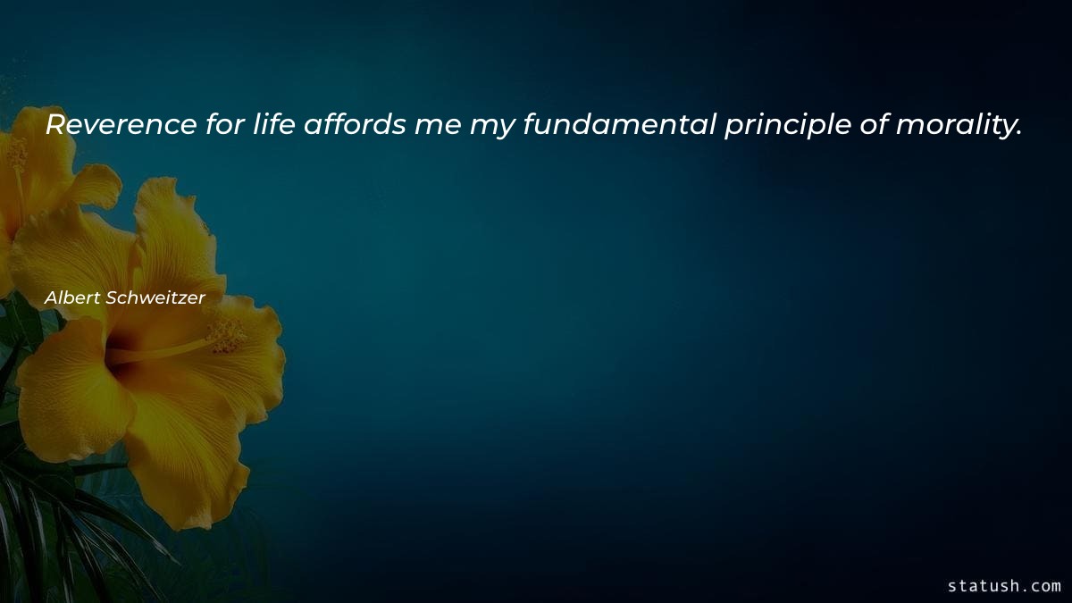 Reverence for life affords me