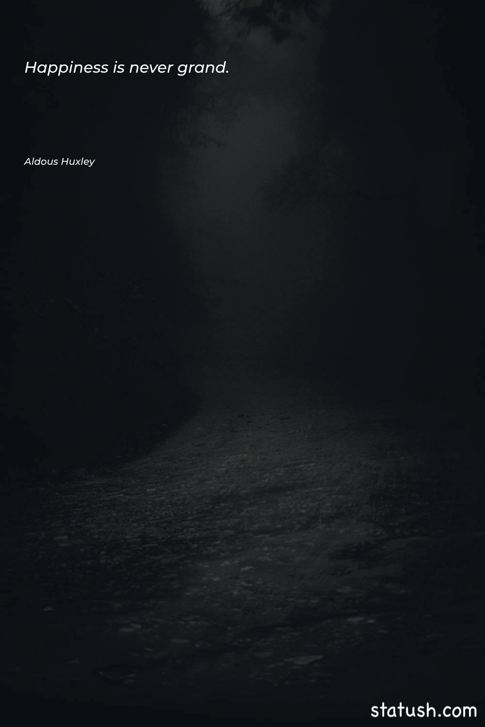 Happiness is never grand - Motivational Quotes at statush.com