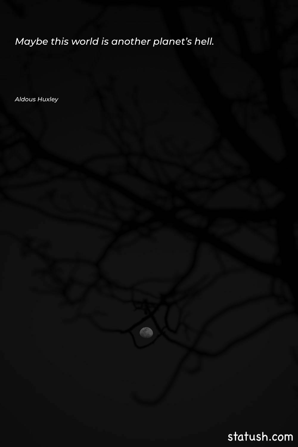 Maybe this world is another - Motivational Quotes at statush.com