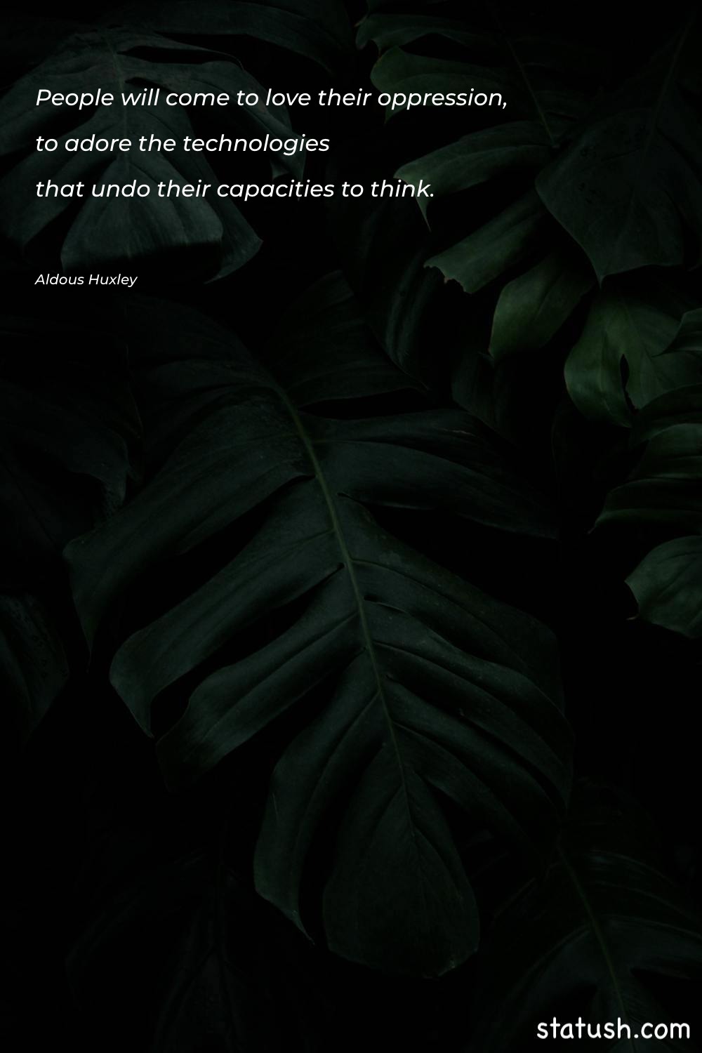 People will come to love - Motivational Quotes at statush.com