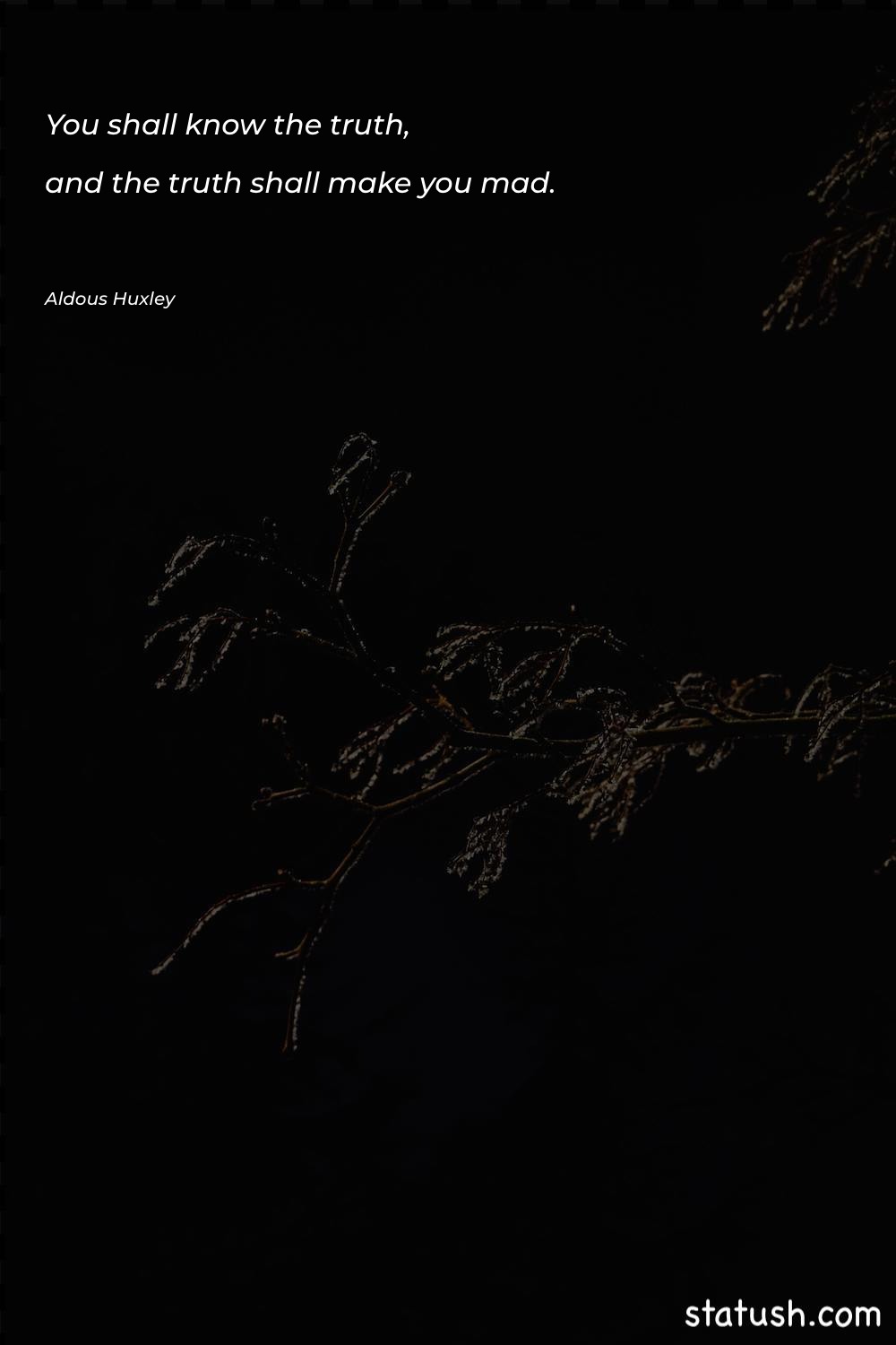 You shall know the truth - Motivational Quotes at statush.com