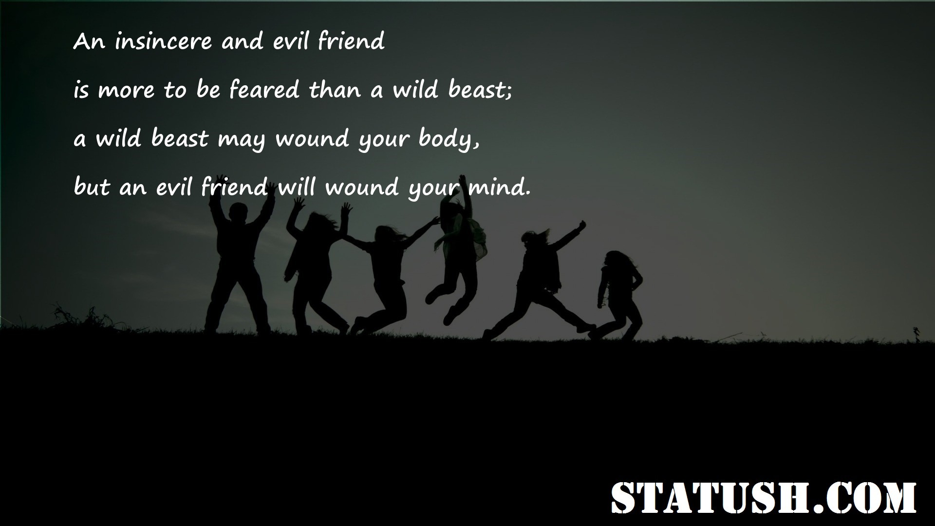 An insincere and evil friend Friendship Quotes at statush.com