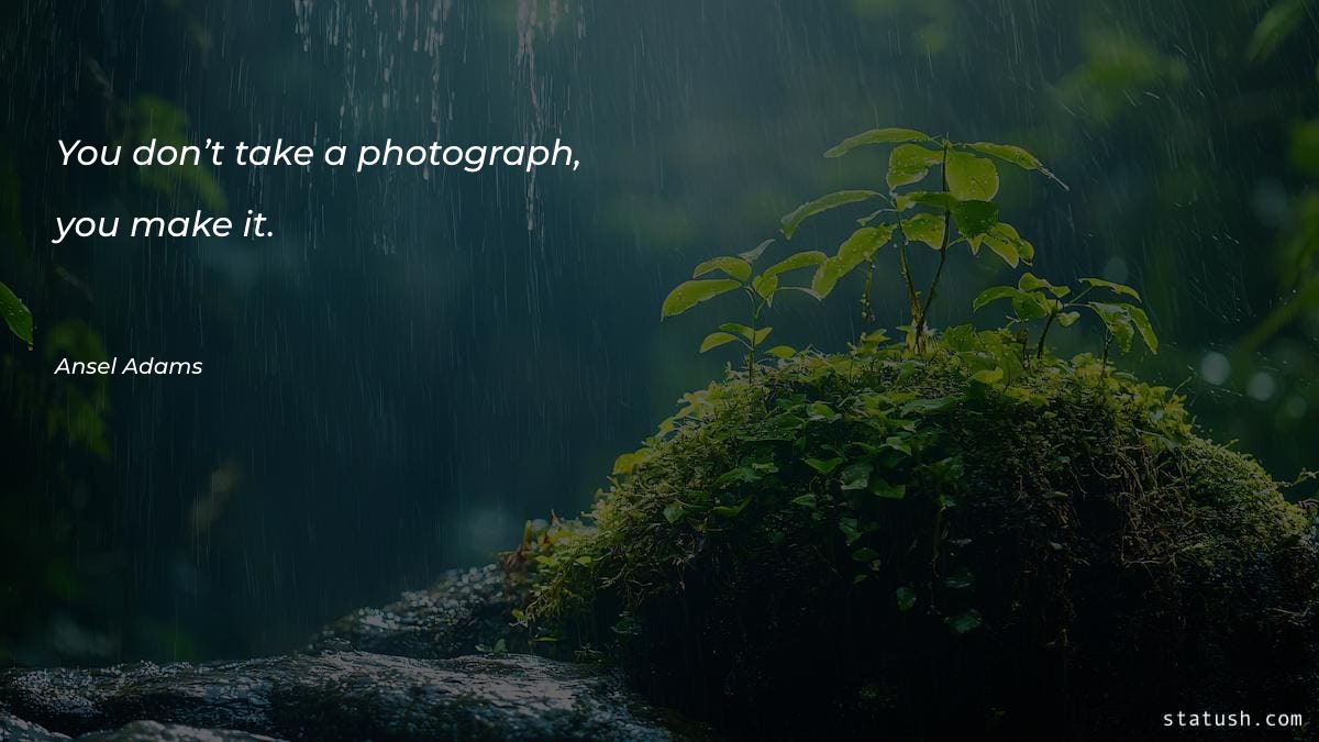 You don’t take a photograph