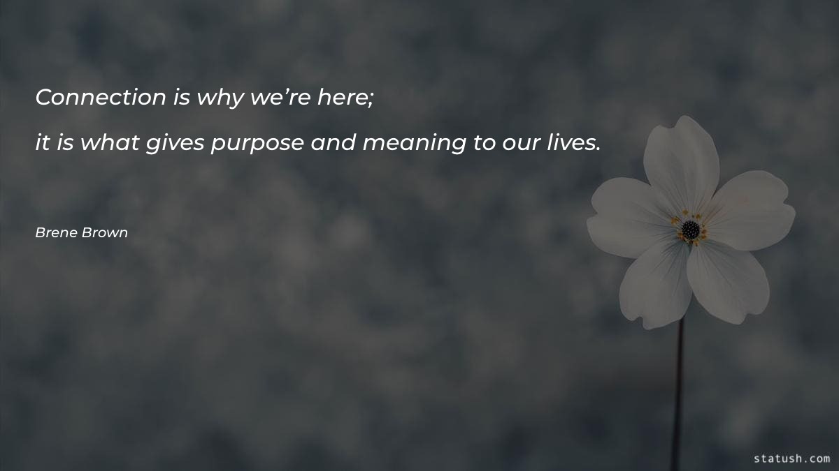 Connection is why we’re here Motivational Quotes at statush.com