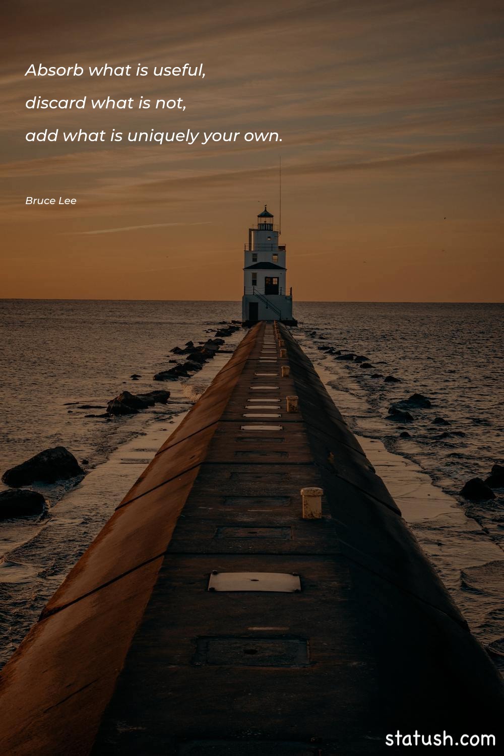 Absorb what is useful, discard