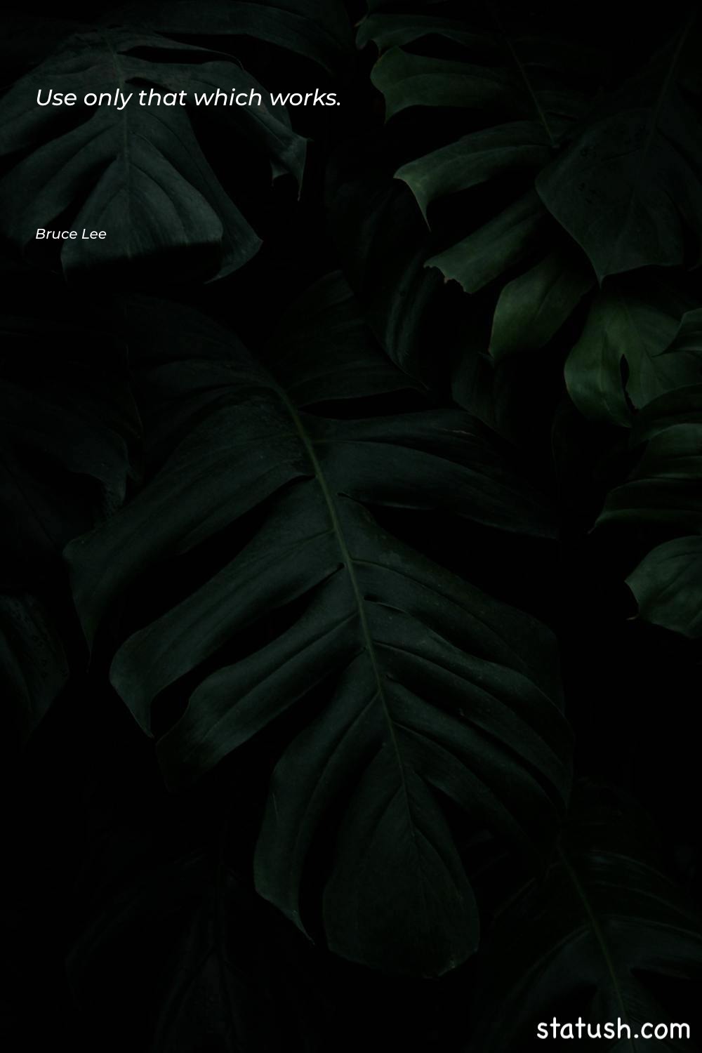 Use only that which works