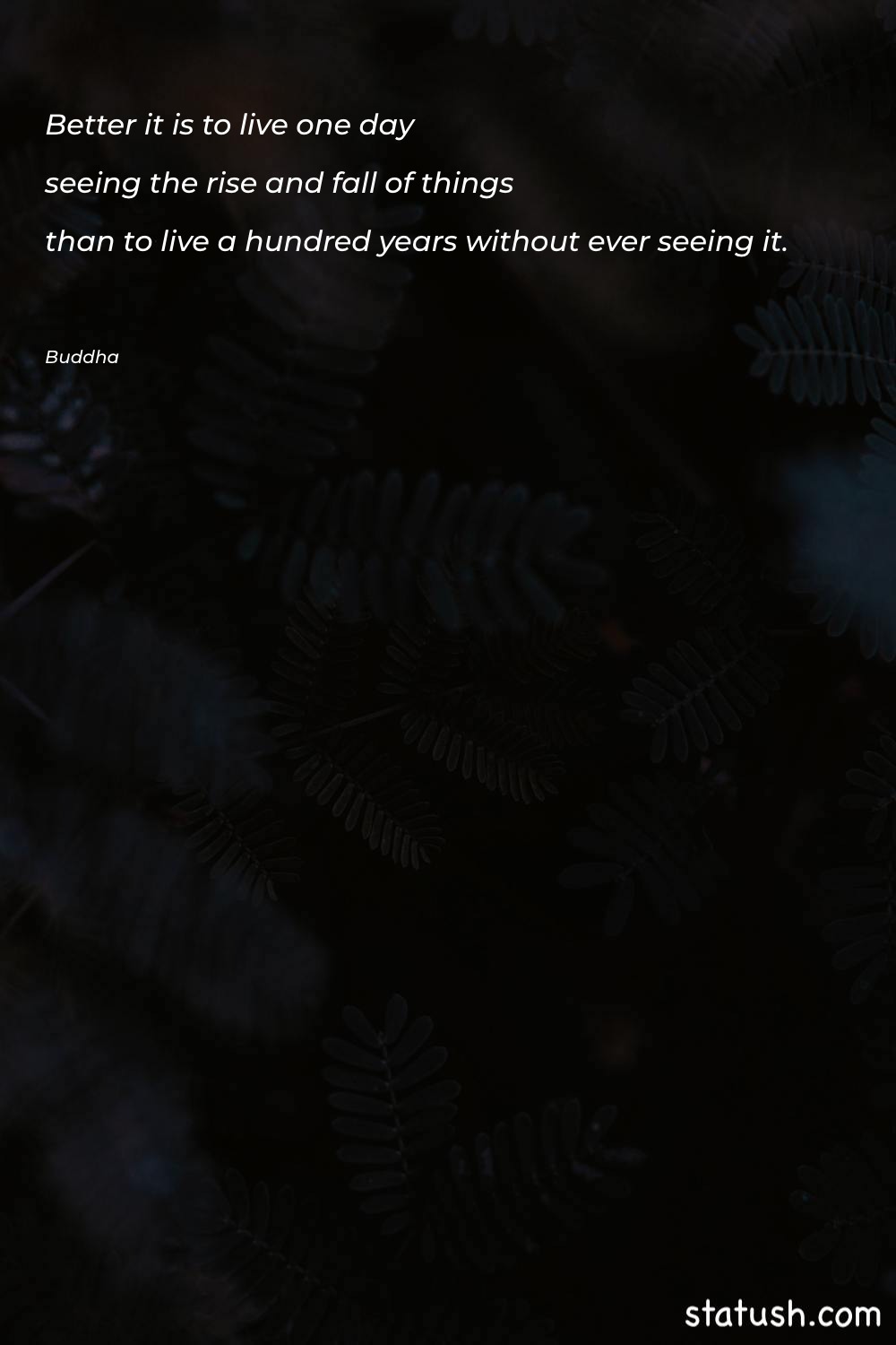 Better it is to live - Life Quotes at statush.com