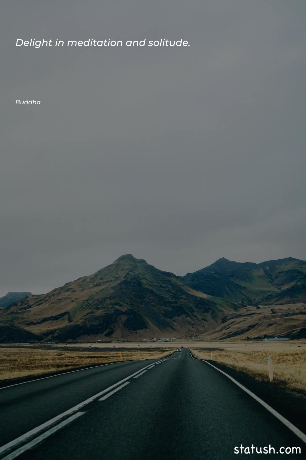 Delight in meditation and solitude - Health Quotes at statush.com