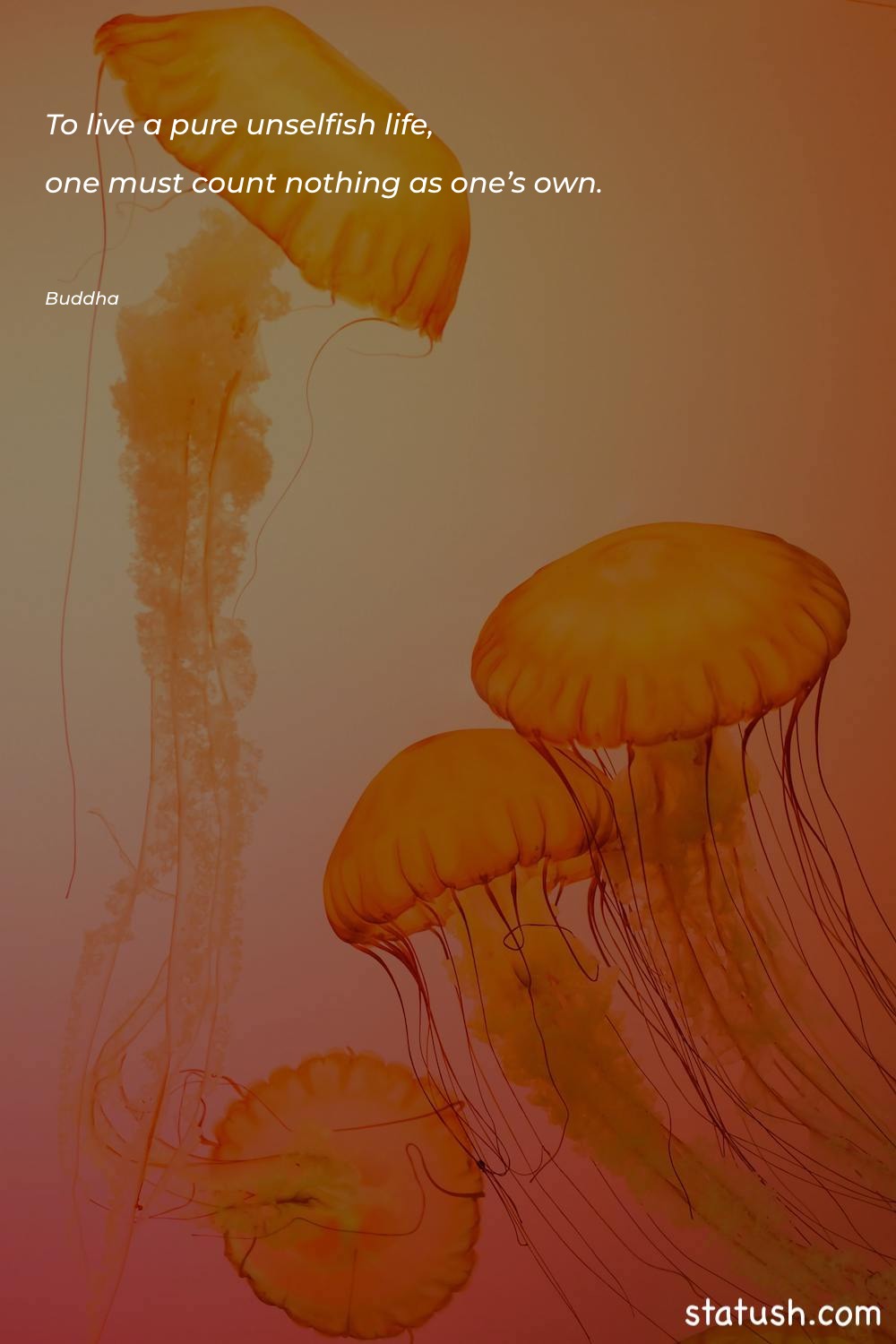 To live a pure unselfish