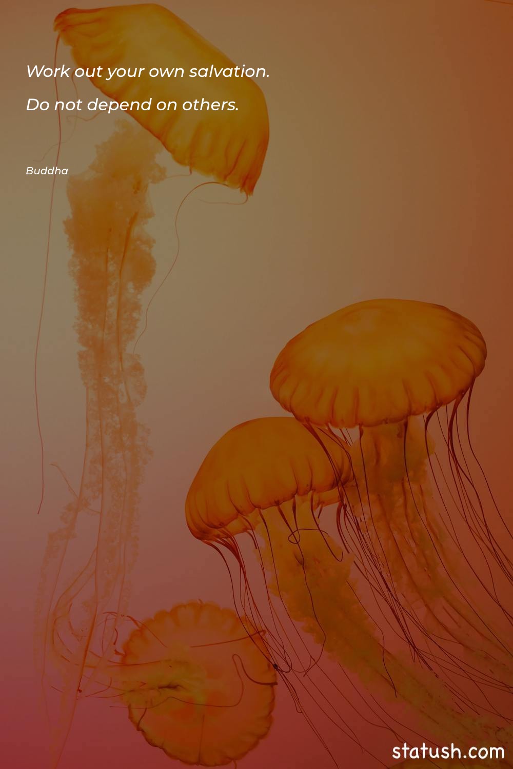 Work out your own salvation