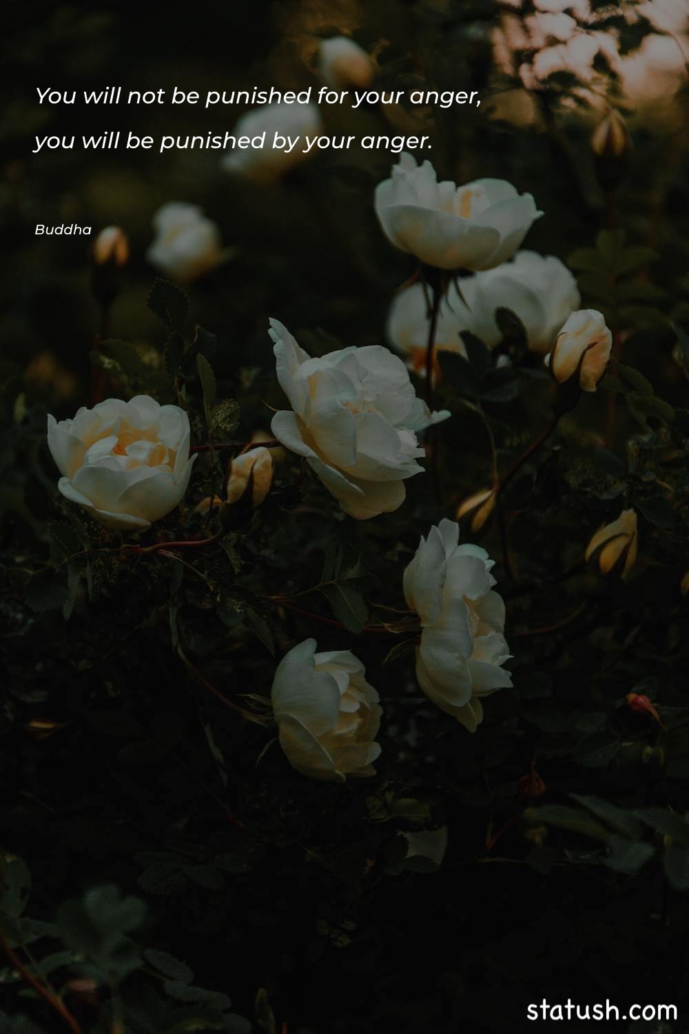 You will not be punished - Anger Quotes at statush.com