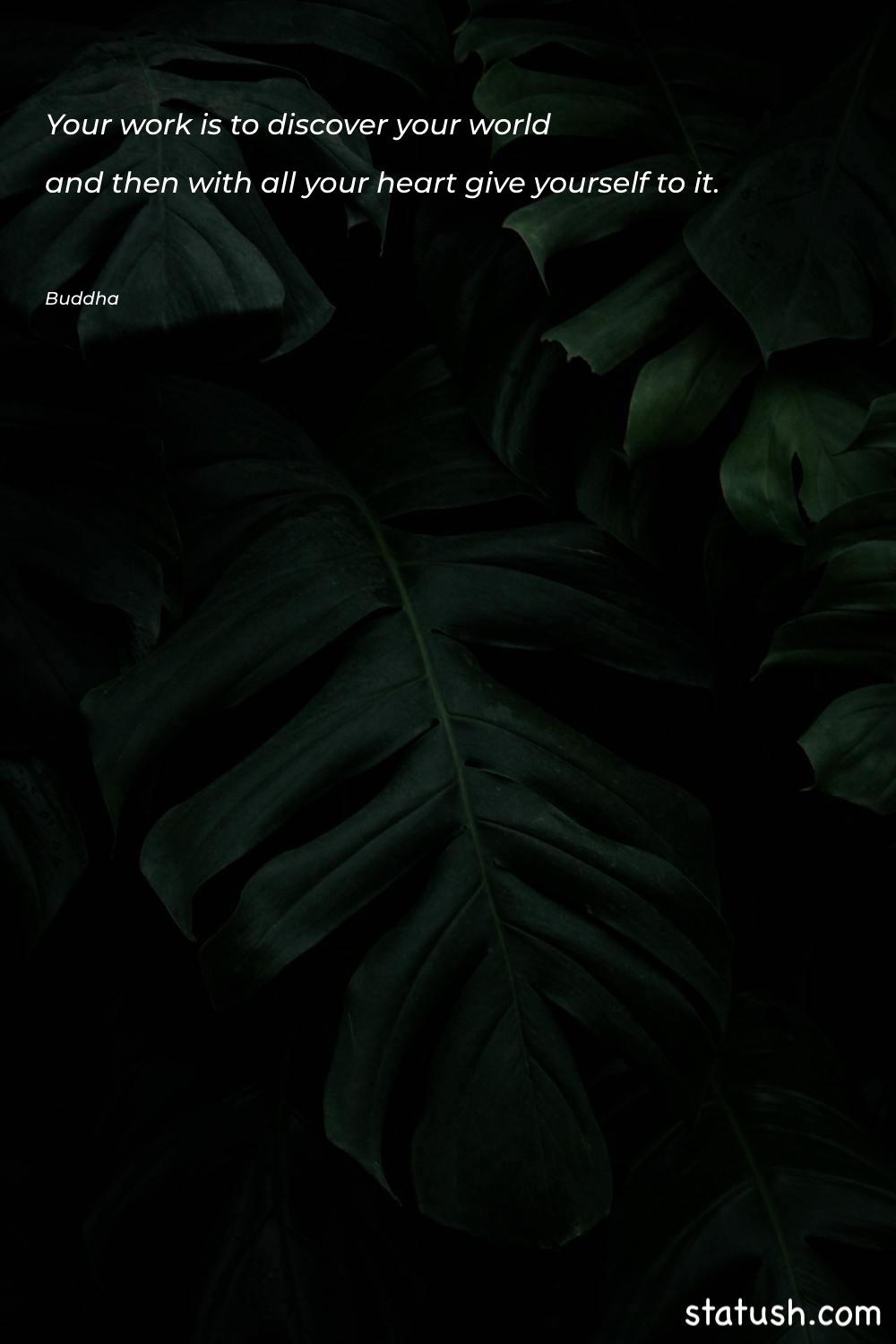 Your work is to discover