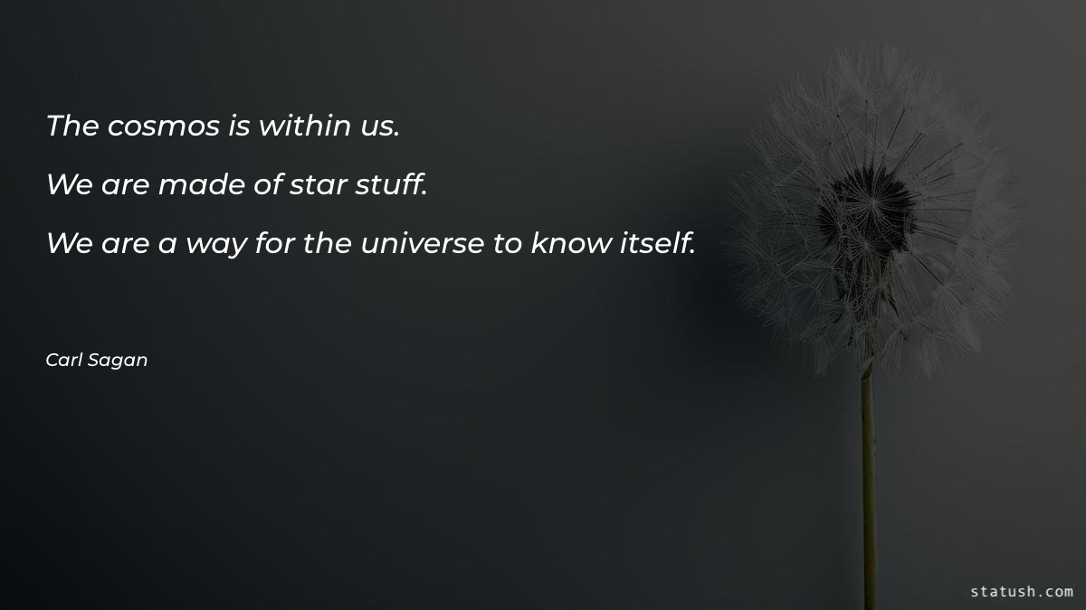 The cosmos is within us