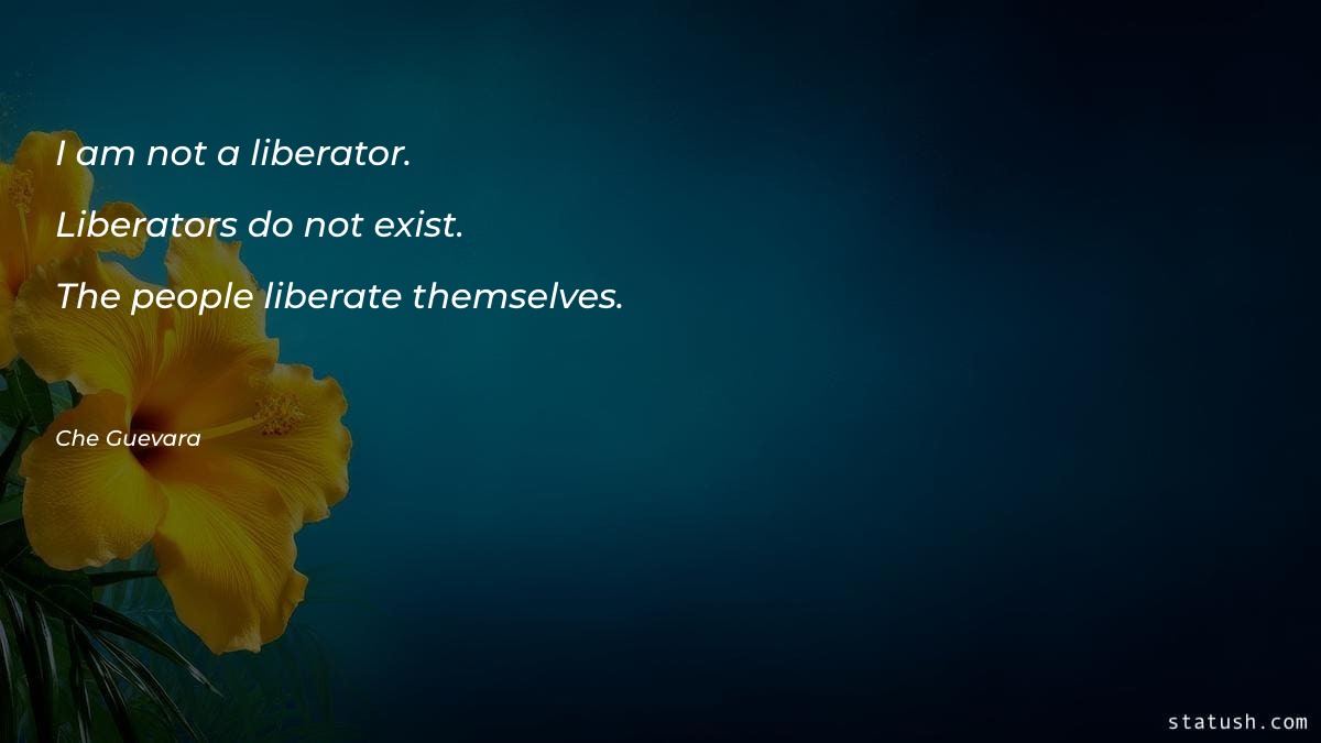 I am not a liberator