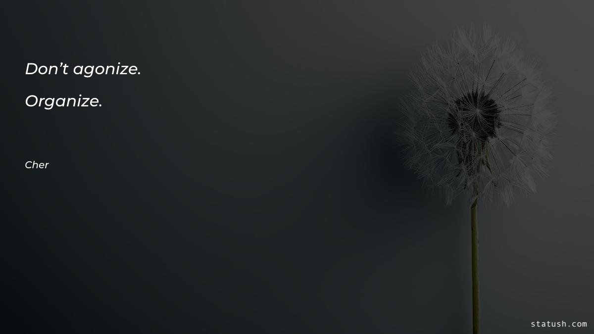 Don’t agonize. Organize - Motivational Quotes at statush.com